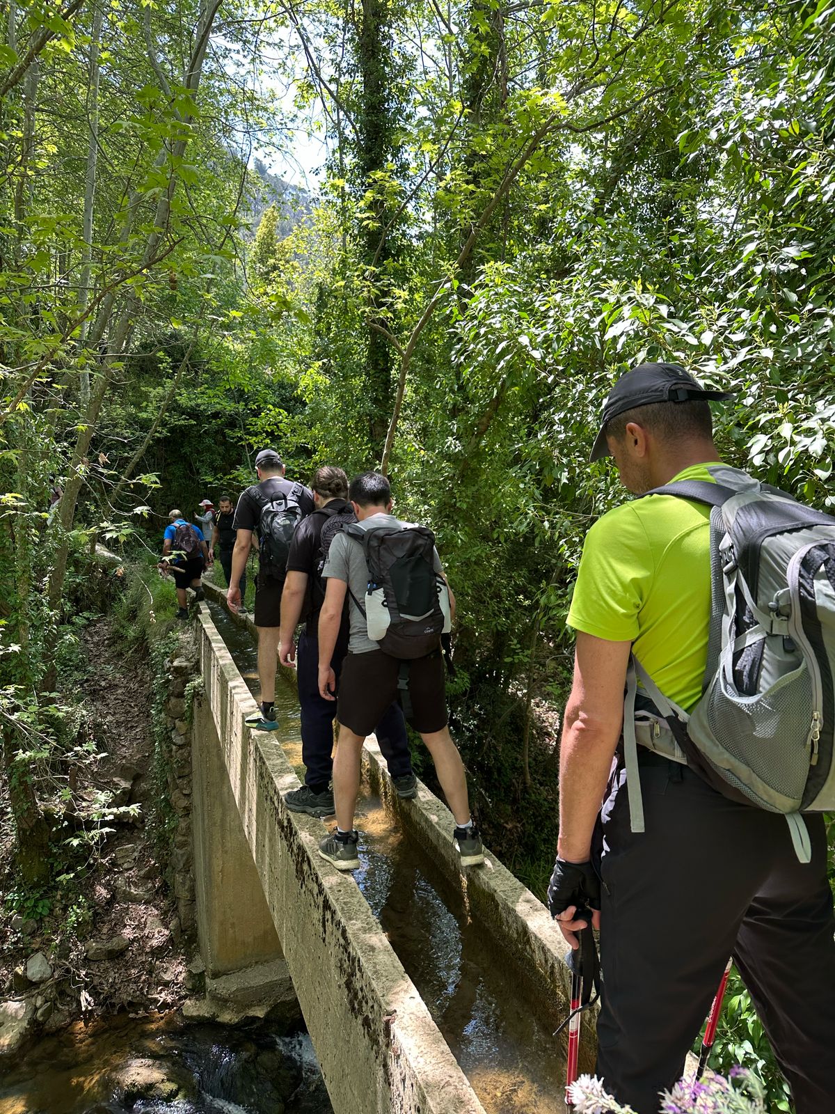 Hiking Events Lebanon